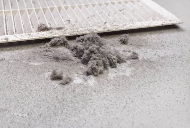 Best Affordable Duct Cleaning Services  in Penn Valley, CA